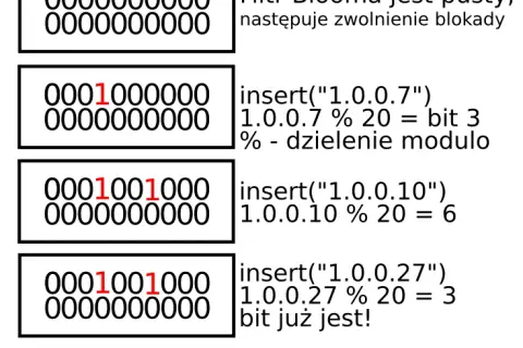 Jak zmienić adres IP na system binarny w prosty sposób i uniknąć błędów