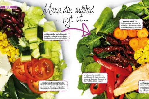 En färgstark sallad med kidneybönor, majs, gurka, tomater och lax. En hälsosam måltid som kan ersätta tater tots.