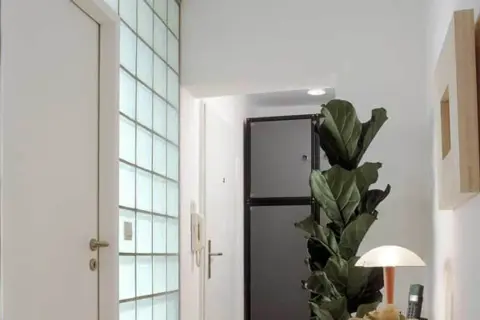 Moderne Diele mit einer Wand aus glasbausteinen verlegen, die viel Licht hereinlässt. Eine Tür und eine große Zimmerpflanze ergänzen den Raum.
