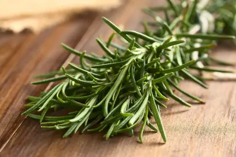 Ramitas de romero fresco sobre madera. El alcohol de romero propiedades medicinales y aromáticas lo hacen ideal para infusiones y remedios caseros.