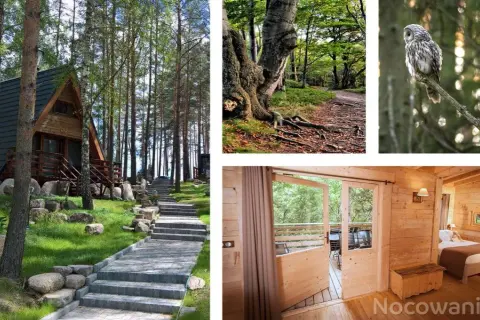 Podlasie: Domek nad jeziorem? Znajdź idealny wypoczynek!