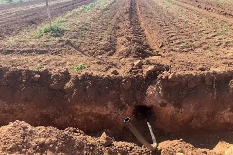 Riego por goteo subterráneo: mejora la eficiencia del agua y cultivos