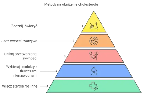 Cholesterol: prawda i mity. Jak obniżyć LDL i chronić swoje serce?