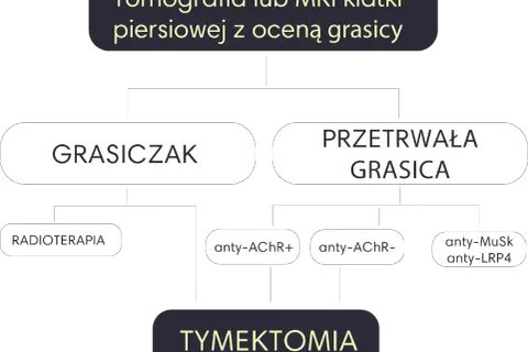 Schemat diagnostyki i leczenia miastenii: grasiczak, przetrwała grasica, radioterapia, tymektomia, przeciwciała anty-AChR, anty-MuSk, anty-LRP4.