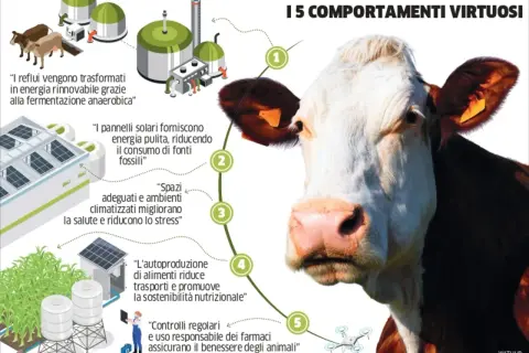 Allevamento della Lombardia: energia rinnovabile da reflui, pannelli solari, spazi adeguati, autoproduzione cibo e controlli sui farmaci per il benessere animale.