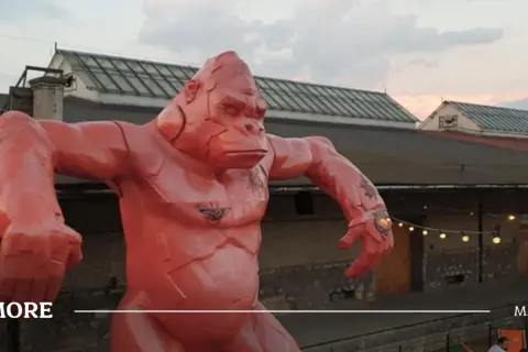 Pomarańczowa, gigantyczna małpa z tatuażami na klatce piersiowej i ramieniu, jakby przygotowana do walki na czeluść festiwal.
