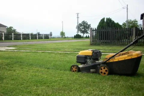 Kosiarka na zielonym trawniku, w tle płot i dom.