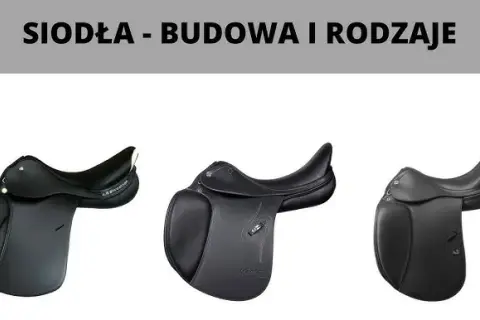 Jak wygląda siodło? Odkryj jego elementy i różnorodność typów