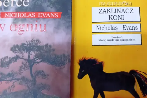Gdzie obejrzeć "Zaklinacza koni" online? Sprawdź aktualne opcje
