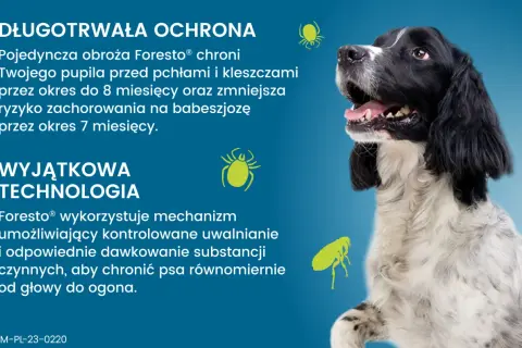 Obroża Foresto® działa dzięki mechanizmowi kontrolowanego uwalniania substancji, chroniąc psa przed kleszczami i pchłami do 8 miesięcy.