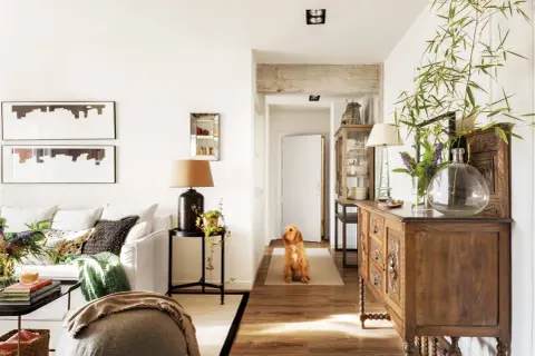 Un perro espera en el pasillo que conecta el salón y la entrada. Muebles antiguos y plantas decoran el espacio.