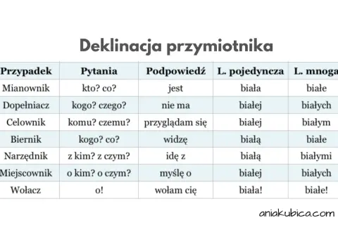 Tabela pokazuje, na co odpowiada przymiotnik w różnych przypadkach języka polskiego, np. "biała" w mianowniku.