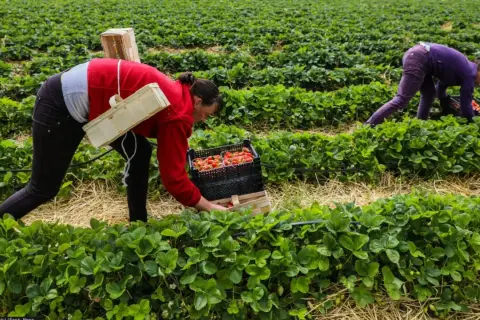 Ile emerytury z Niemiec dla Polaka? Sprawdź realne kwoty i zasady