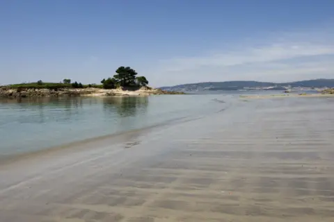 Arena mojada y rocas con árboles en la **praia do santo**. El mar tranquilo refleja el cielo azul.