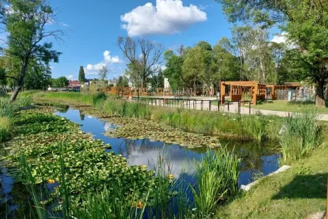 Malowniczy staw z liliami wodnymi i trzcinami, w tle drewniane altany i plac zabaw w parku Agrykola.