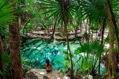Una mujer se sienta junto a un cenote de agua cristalina en la selva de México, rodeada de exuberante vegetación y palmeras.
