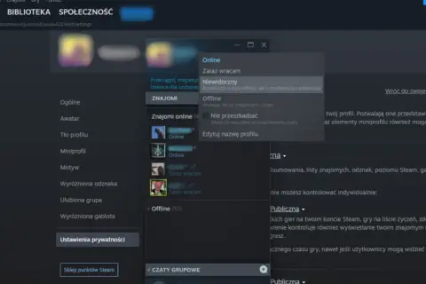 Okno Steam z opcjami statusu: Online, Zaraz wracam, Niewidoczny, Offline, Nie przeszkadzać.