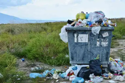 Gdzie zgłosić brak wywozu śmieci? Sprawdź, jak szybko rozwiązać problem