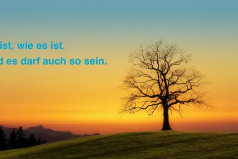 Ein kahler Baum auf einem Hügel bei Sonnenuntergang. Der Himmel ist in warmen Orange- und Blautönen gehalten. Der Spruch "Es ist, wie es ist." steht in blauer Schrift.