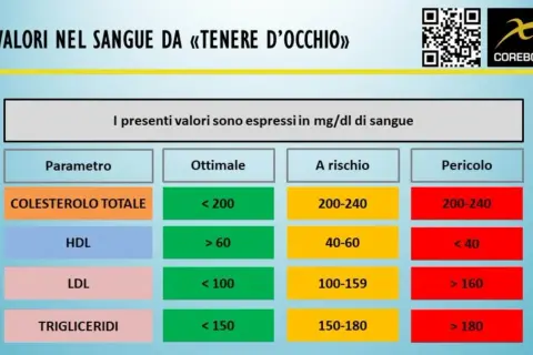 Tabella valori sangue: colesterolo totale, HDL, LDL, trigliceridi. Indica livelli ottimali, a rischio e pericolosi per monitorare il rapporto colesterolo totale e HDL.
