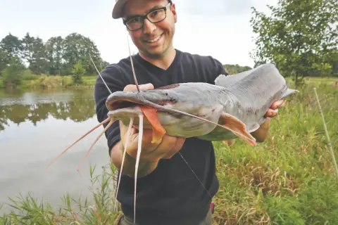 Glücklicher Angler präsentiert stolz einen großen afrikanischen Wels mit seinen charakteristischen Barteln.