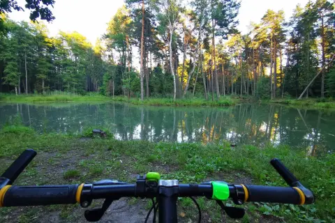 Rowerowy wypad do puszczy dulowskiej. Spokojna tafla wody odbija wysokie drzewa.