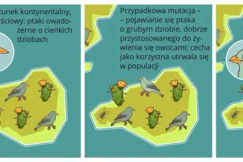 Izolacja geograficzna – jak wpływa na ewolucję i różnorodność gatunków