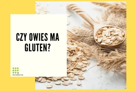 Płatki owsiane na łyżce i kłosy zbóż. Czy owies ma gluten? Pytanie o zawartość glutenu w owsie.