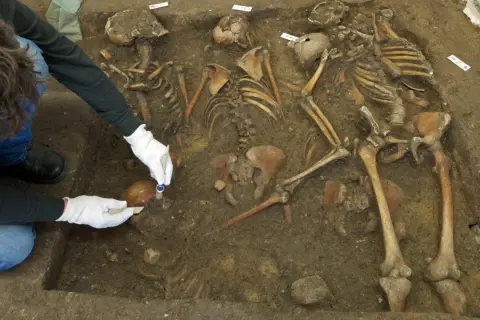 Archäologen untersuchen Skelette, die mit der C14-Methode datiert werden.