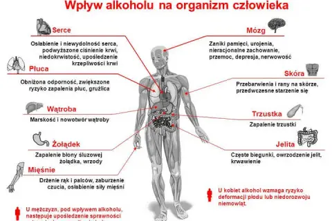 Alkohol po przeszczepie nerki: Czy to bezpieczne? Fakty medyczne