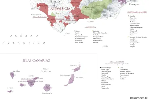 Mapa prezentująca regiony winiarskie Hiszpanii, w tym Andaluzję i Wyspy Kanaryjskie, z zaznaczonymi odmianami winogron.