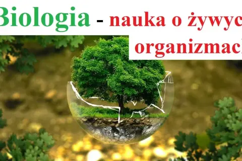 Czy biologia to nauka ścisła? Odkryj jej unikalną naturę i metody