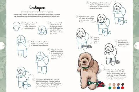 Dibujos de perros: tutorial paso a paso para dibujar un cockapoo. ¡Un compañero adorable y juguetón!