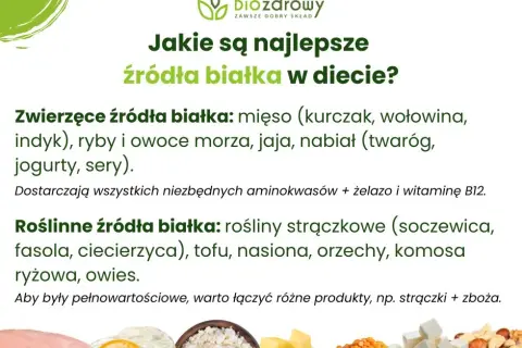 Białko roślinne: co zawiera i jak jeść mądrze? Pełny przewodnik