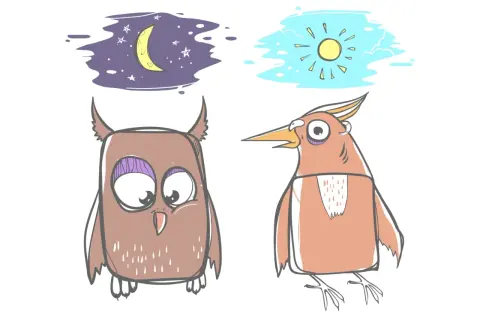 Sowa marzy o księżycu, ptak o słońcu. Ilustracja pokazuje różnice w chronotypie snu.