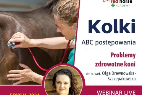 Objawy kolki u konia: jak je rozpoznać i uniknąć poważnych problemów
