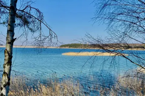 Turkusowe jezioro w Koninie, otoczone trzcinami i gałęziami drzew, lśni w słońcu.