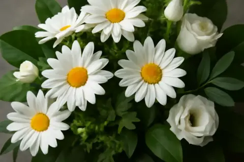 En bukett med vita margeritblommor och vita rosor, omgiven av gröna blad.
