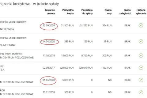 Jak sprawdzić zdolność kredytową w BIK i uniknąć błędów finansowych