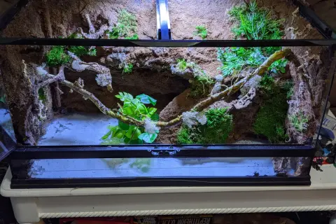 Najlepszy silikon do terrarium - bezpieczne opcje dla zwierząt i roślin