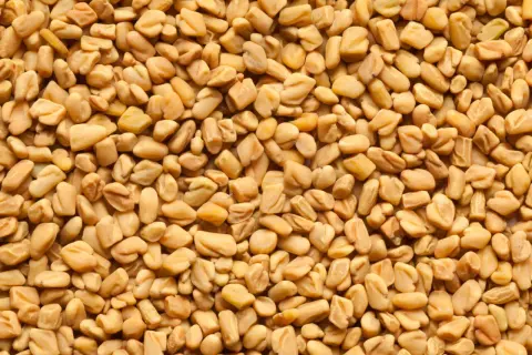 Nahaufnahme von Bockshornkleesamen, die für ihren einzigartigen, leicht bitteren Geschmack bekannt sind.