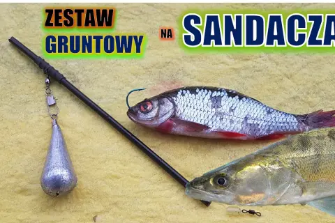 Skuteczne zbrojenie żywca na sandacza – unikaj najczęstszych błędów