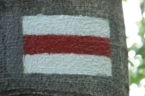 Czerwony szlak turystyczny namalowany na korze drzewa.
