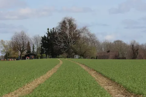 Zielona łąka z dwoma śladami opon prowadzącymi do domku i drzew. To miejsce, gdzie marzenia o własnym domu, jak hipoteka w księdze wieczystej, stają się rzeczywistością.