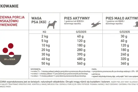 Ile mokrej karmy dla psa tabela - uniknij błędów w karmieniu psa