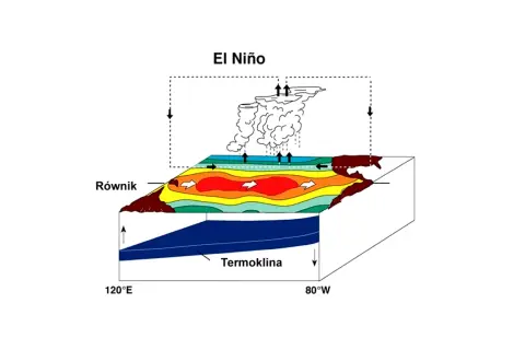 El Niño: schematyczne przedstawienie zjawiska, pokazujące ciepłe wody na równiku i chmury burzowe.