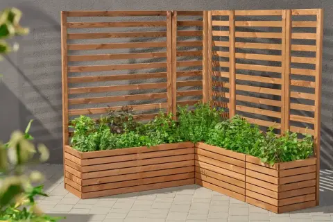 Drewniana pergola z listewek, idealna do stworzenia zielonej ściany z ziołami. Prosty sposób, jak zrobić pergolę z listewek.