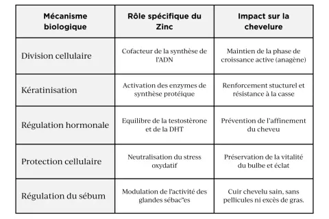 Tableau détaillant le rôle du zinc dans la santé des cheveux : division cellulaire, kératinisation, régulation hormonale, protection cellulaire et sébum.