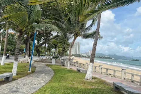 Aleja palmowa w Nha Trang prowadzi do piaszczystej plaży.