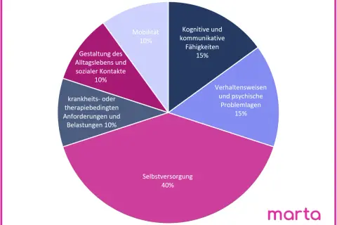 Kreisdiagramm zeigt Pflegegrad-Kriterien: Selbstversorgung (40%), kognitive/kommunikative Fähigkeiten (15%), Verhaltensweisen/psychische Problemlagen (15%), Mobilität (10%), Gestaltung Alltag/Kontakte (10%), krankheitsbedingte Anforderungen (10%). Dies...